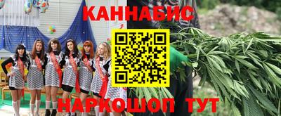 гидропоника Тверь