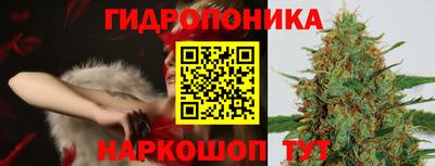 прущие крисы Тара