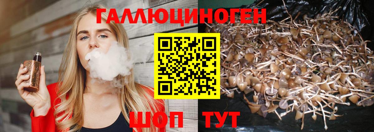 Тавда  Галлюциногенные грибы Magic Shrooms  Вход с VPN  Галлюциногенные грибы Psilocybine cubensis 