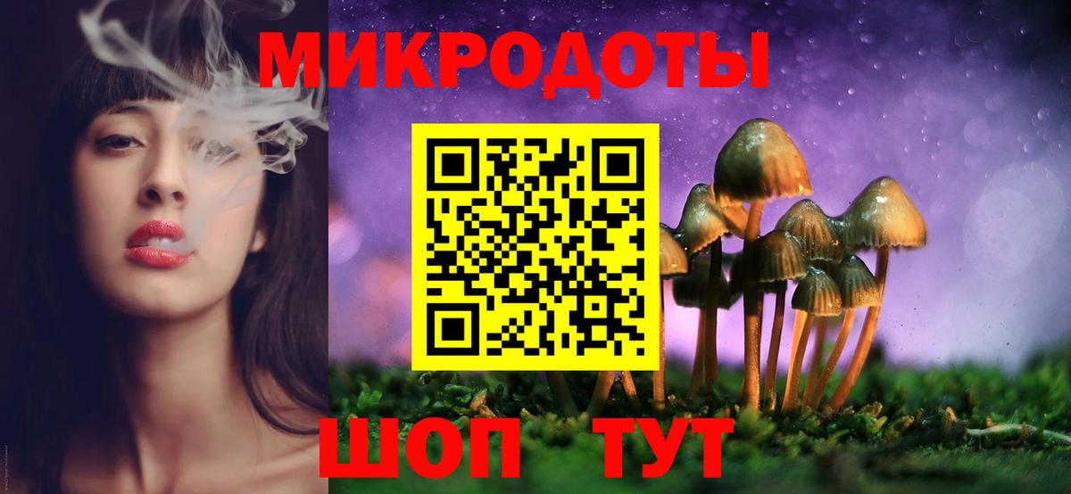 Псилоцибиновые грибы мицелий Тавда